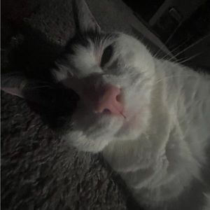 Meet your Posher, Eric